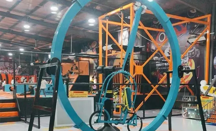 360 Bike (360-Degree Rotating Bicycle)