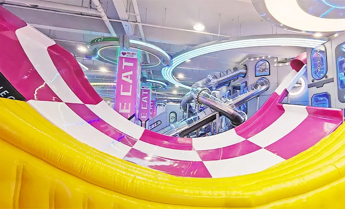 Giant Swinging Slide