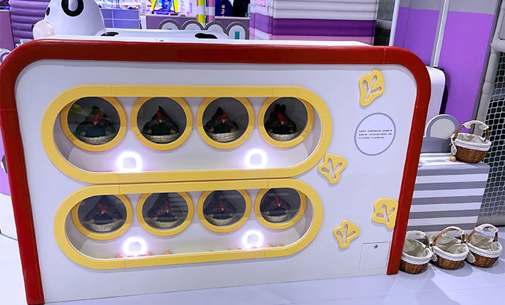 Hands-On Activity Area