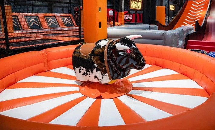 Bullfight