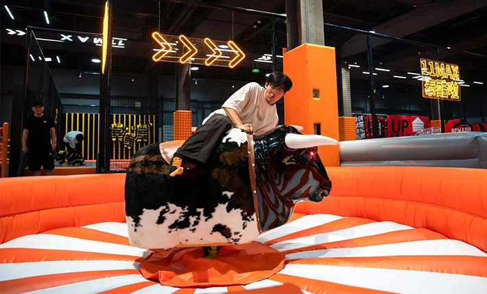 Bullfight