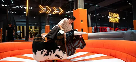 Bullfighting